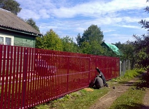 Забор из металлического штакетника Кузьмоловский