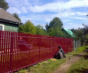 Забор из металлического штакетника Кузьмоловский