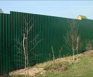 Забор из профнастила Рябово